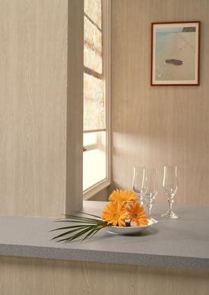 カビのことでお悩みならこの企業に相談