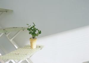 雰囲気が変わるフローリングリフォーム